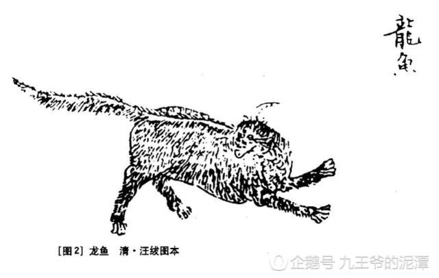 《山海經(jīng)》古人如何看有龍字的動物呢？奇獸龍魚