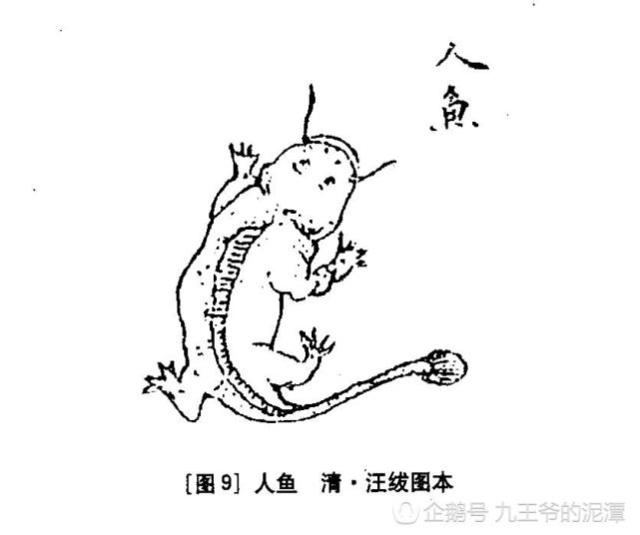 《山海經(jīng)》古人如何看有龍字的動物呢？奇獸龍魚