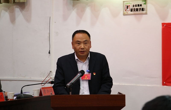 中國共產黨風華鎮第七屆二次會議勝利召開