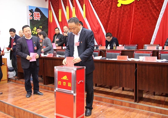 中國共產黨風華鎮第七屆二次會議勝利召開