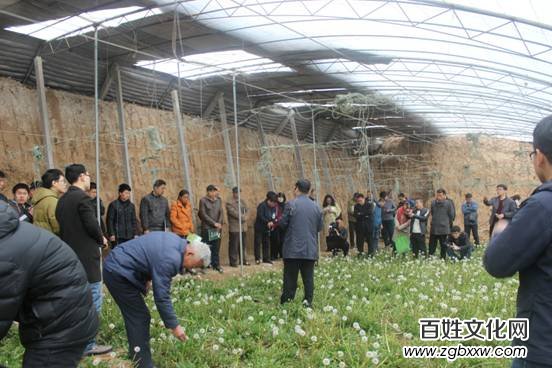 河北磁縣舉辦“慶兩會、送技術”蒲公英專題培訓會
