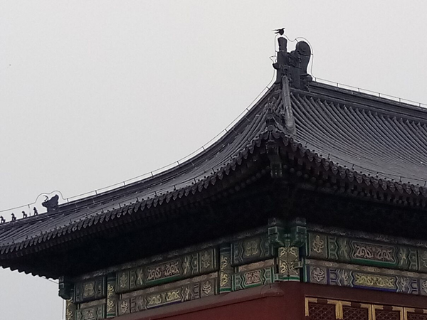 李月手機拍圖之——天壇