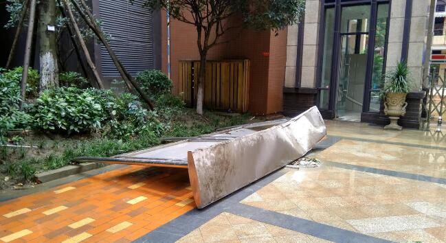成都大風暴雨 男子被大樹砸成顱內出血