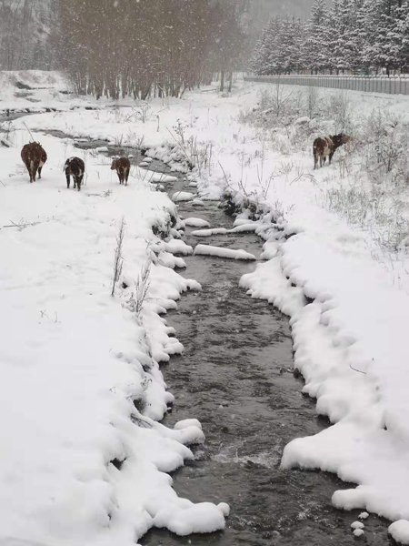 雪中五臺山