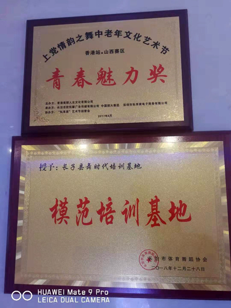 一枝獨秀——山西省長子縣“舞時代”舞蹈培訓(xùn)機構(gòu)導(dǎo)師劉玉枝