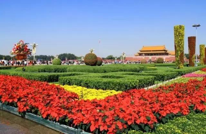 天安門太漂亮了、北京太震撼了
