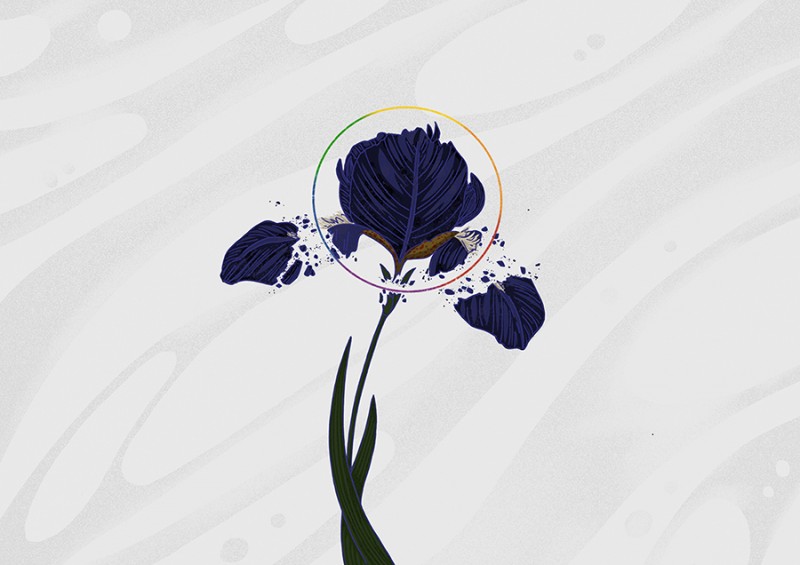 人五：畫了上百種水彩植物的插畫師