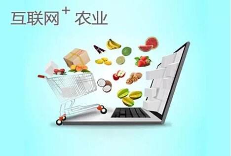 網購農產品成趨勢 快遞進村速度加快