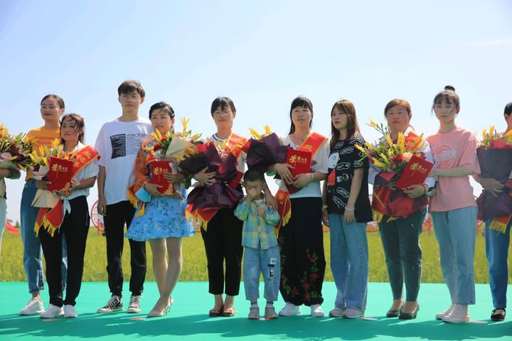 小黃花菜轉變成致富大產業、鹽池縣農業發展引人深思