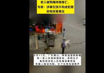 老人被狗繩絆倒身亡，專家：涉事女孩不構成犯罪但有民事責任