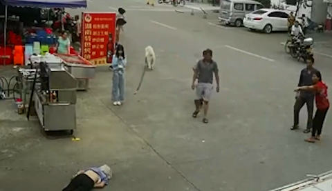 老人被狗繩絆倒身亡，專家：涉事女孩不構成犯罪但有民事責任