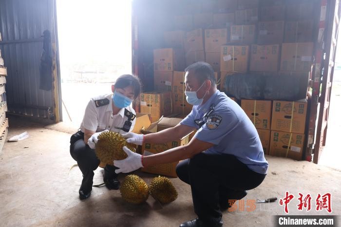 廣西水口海關無害化銷毀18.88噸涉嫌走私入境水果
