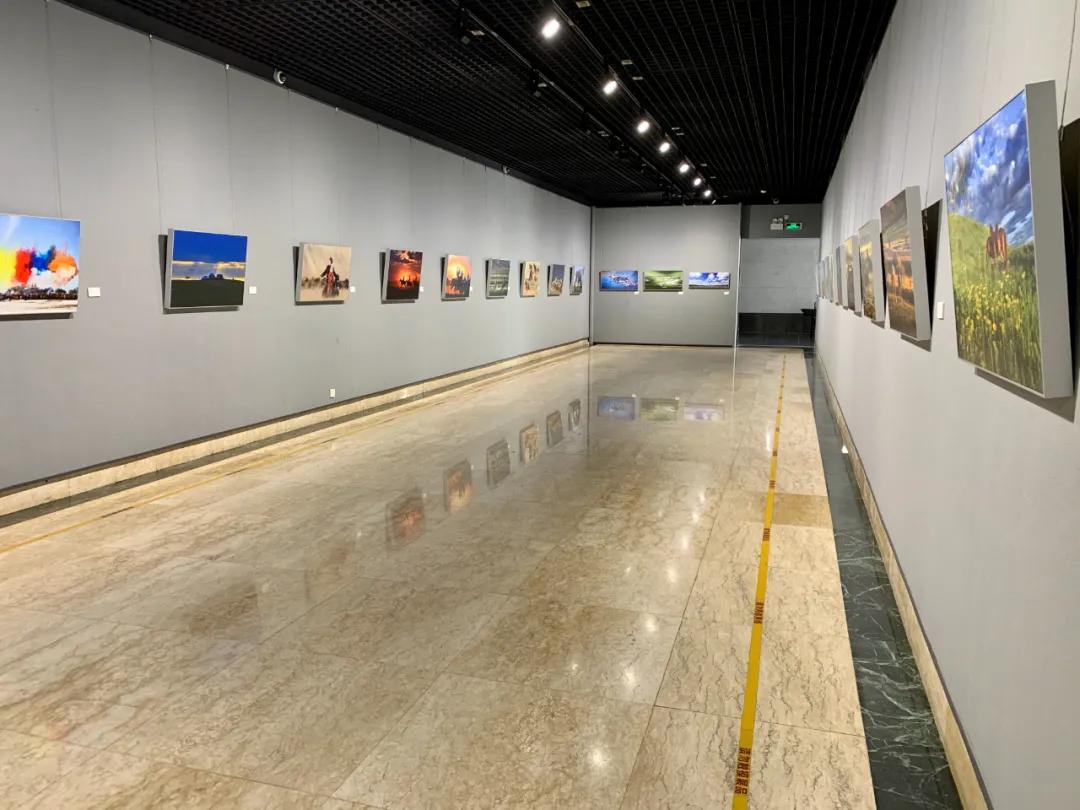 蒙古馬攝影藝術作品展暨《蒙古馬》畫冊首發式開幕