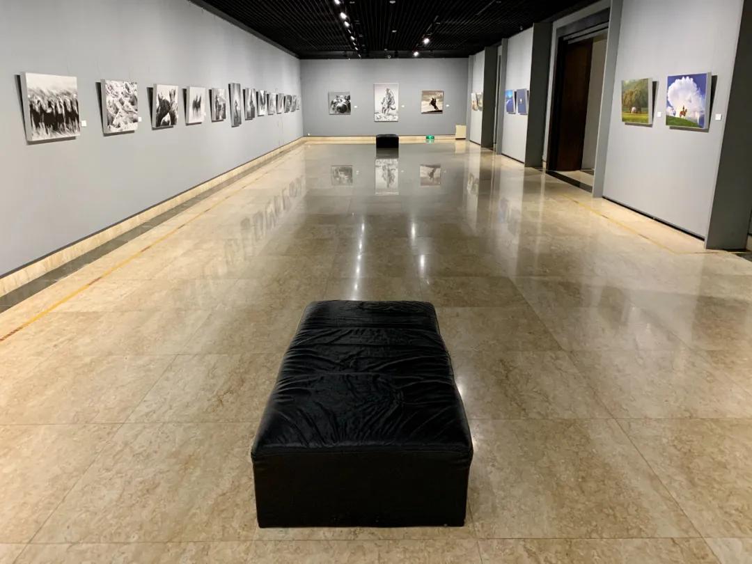 蒙古馬攝影藝術作品展暨《蒙古馬》畫冊首發式開幕