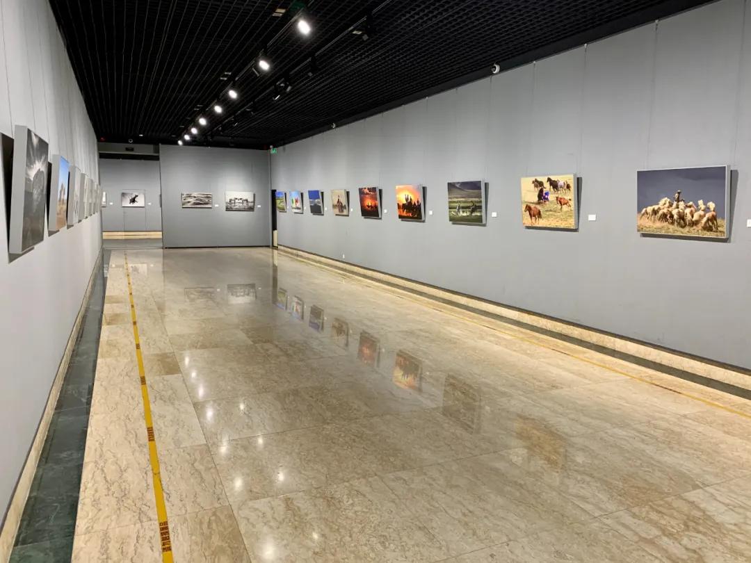 蒙古馬攝影藝術作品展暨《蒙古馬》畫冊首發式開幕