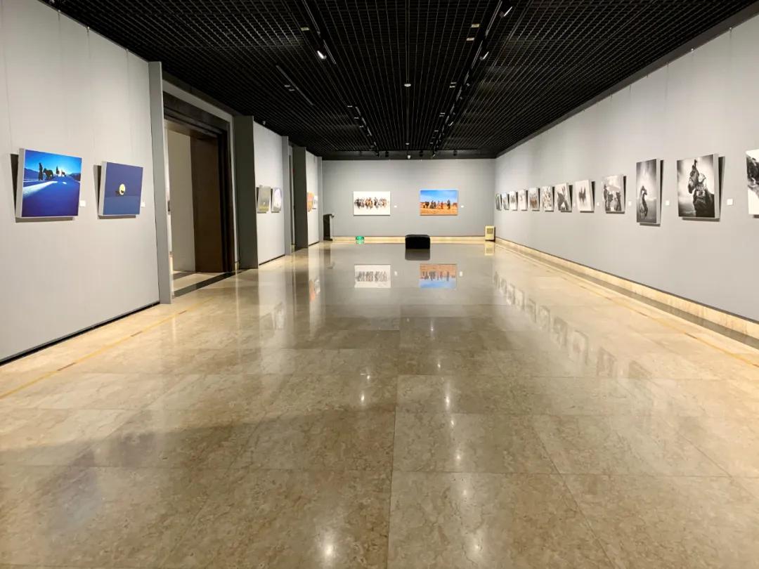 蒙古馬攝影藝術作品展暨《蒙古馬》畫冊首發式開幕
