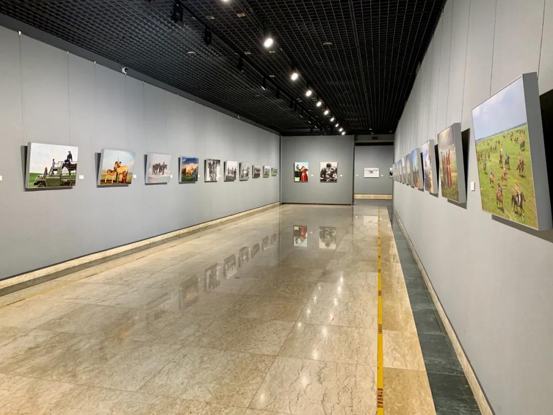 蒙古馬攝影藝術作品展暨《蒙古馬》畫冊首發式開幕