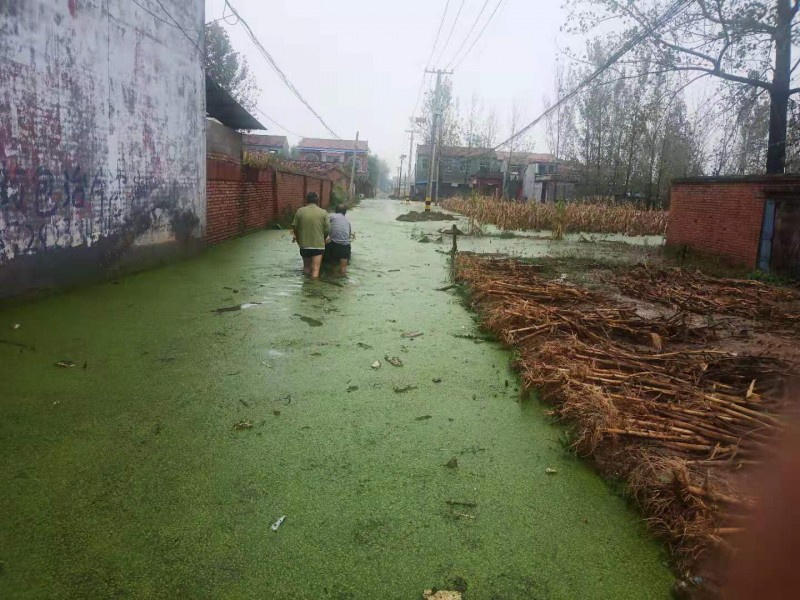 暴雨下的故鄉