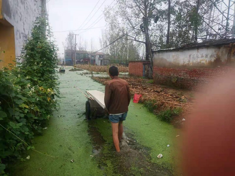 暴雨下的故鄉