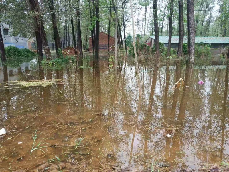 暴雨下的故鄉