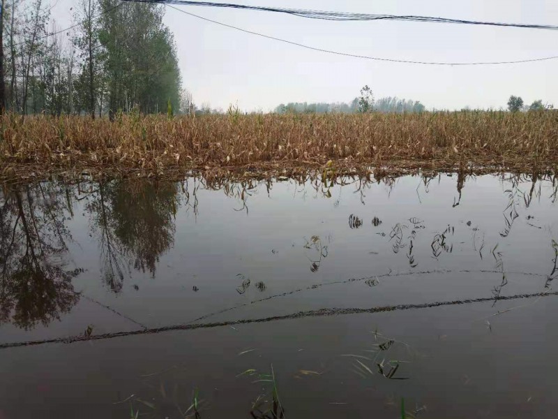 暴雨下的故鄉
