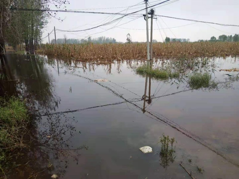 暴雨下的故鄉