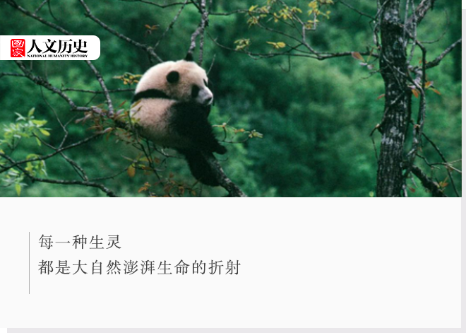 中國國家公園，到底有多寶藏？