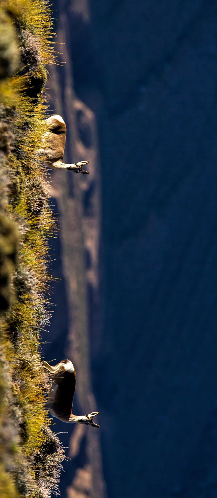 中國國家公園，到底有多寶藏？