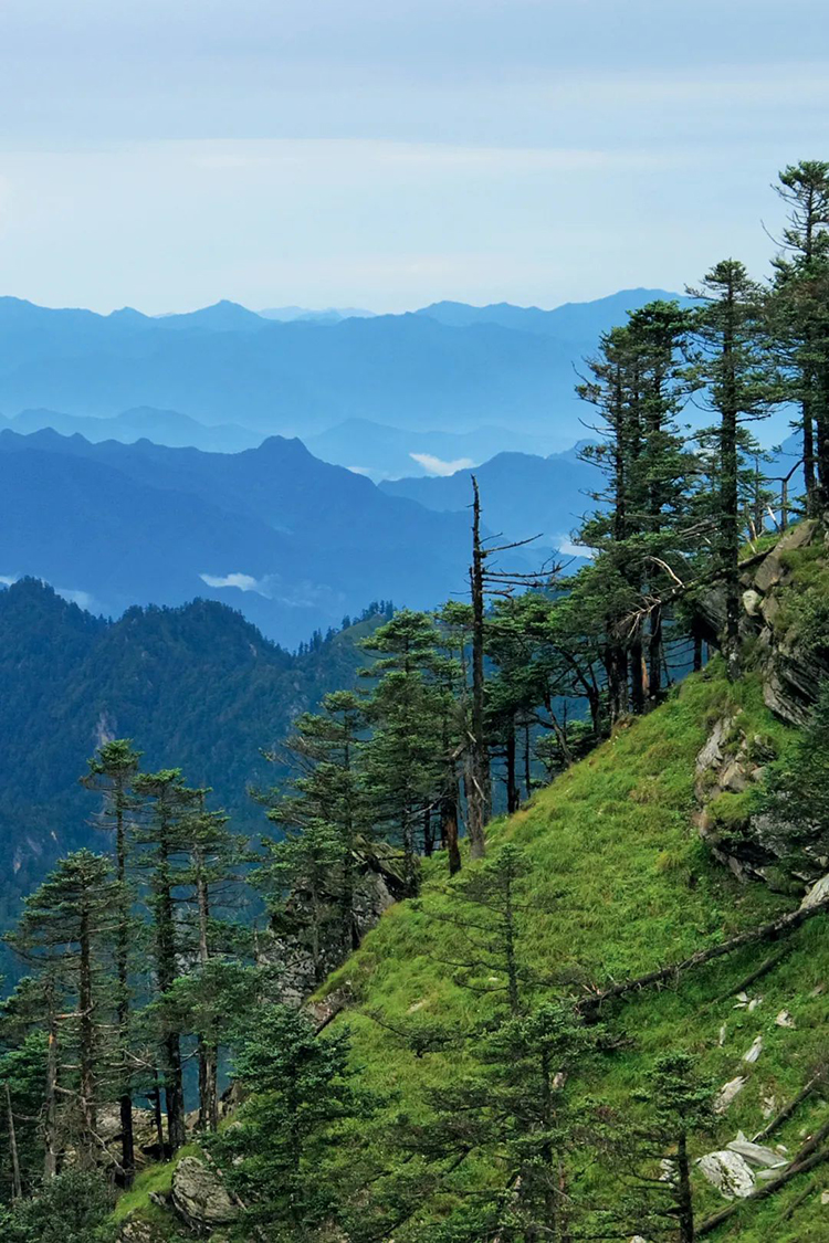 中國國家公園，到底有多寶藏？