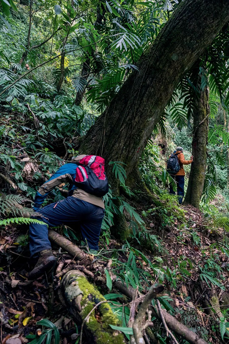 中國國家公園，到底有多寶藏？
