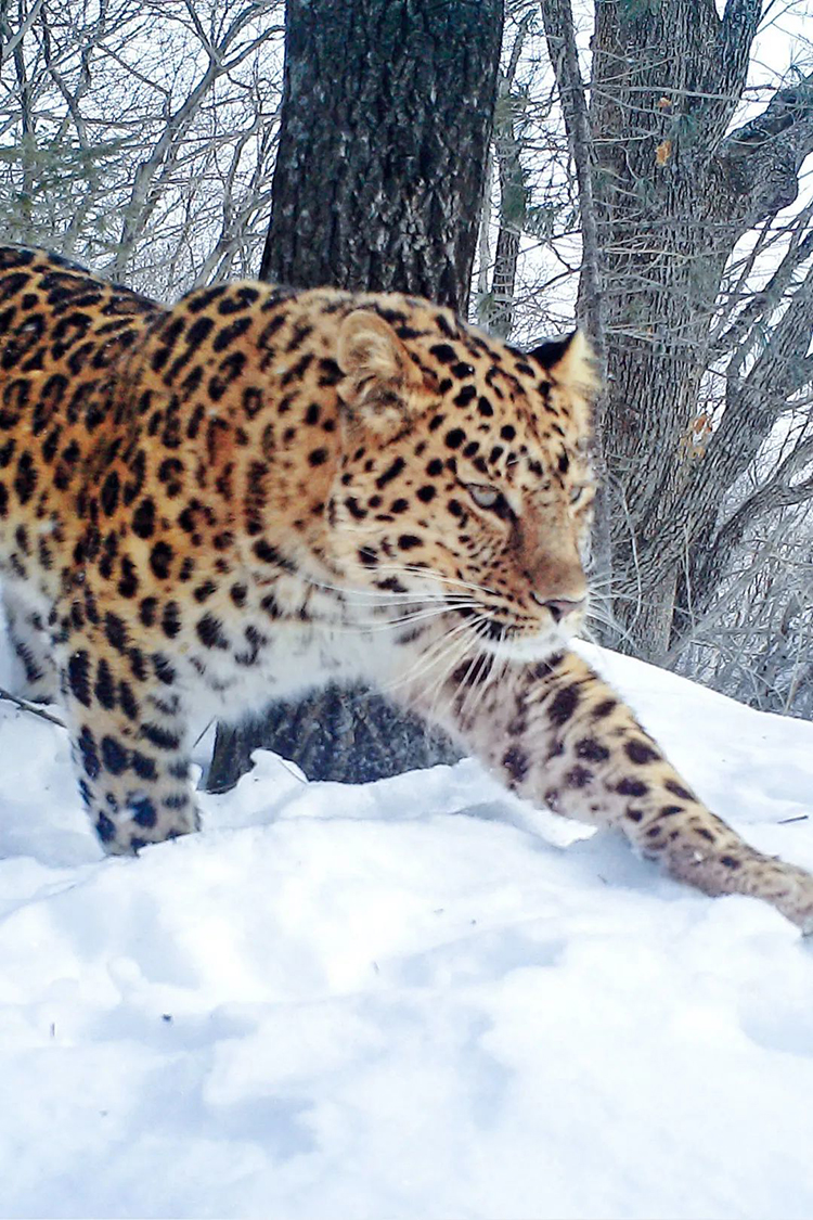 中國國家公園，到底有多寶藏？
