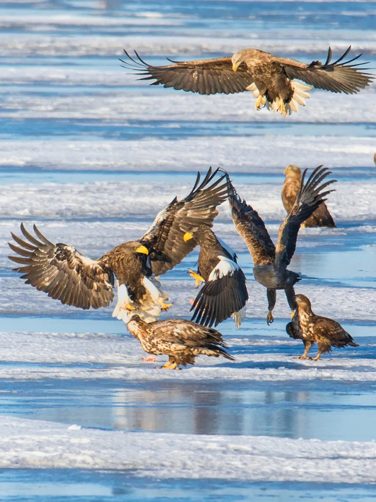 中國國家公園，到底有多寶藏？