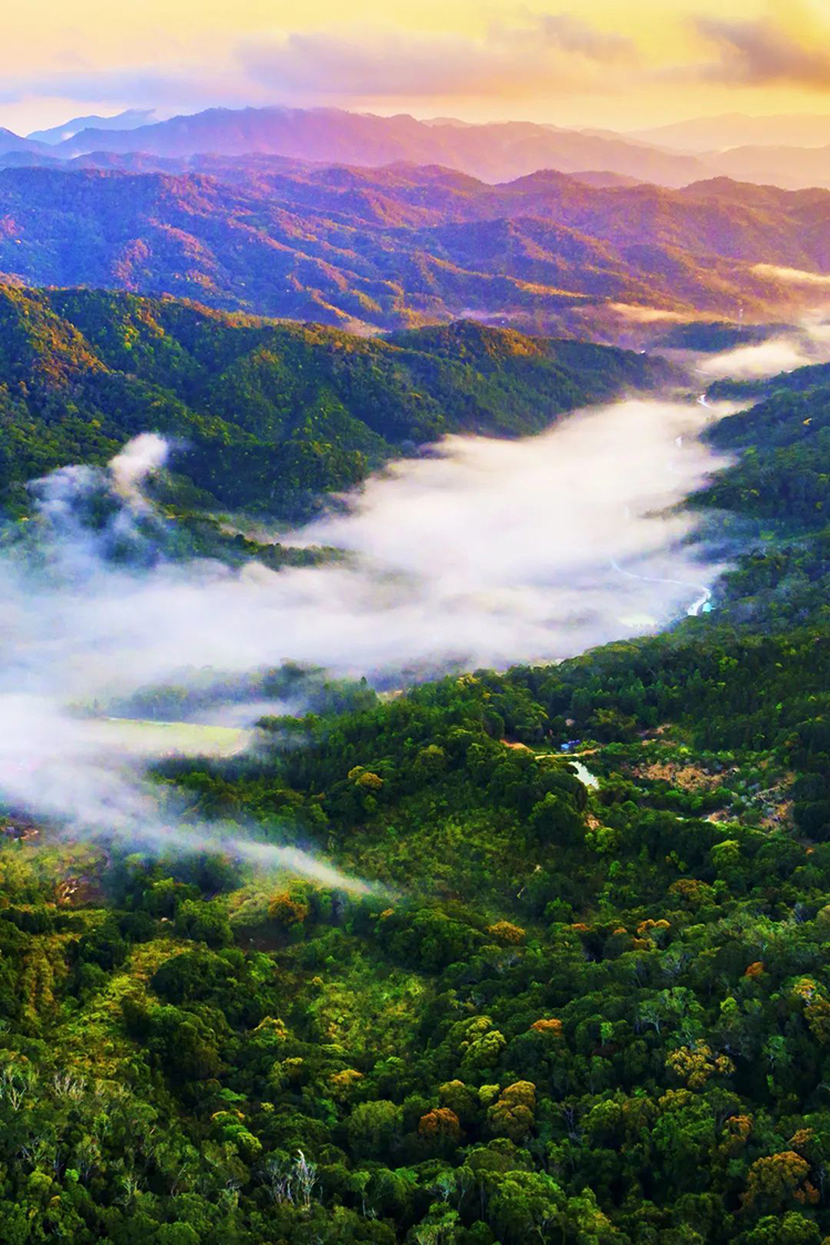 中國國家公園，到底有多寶藏？