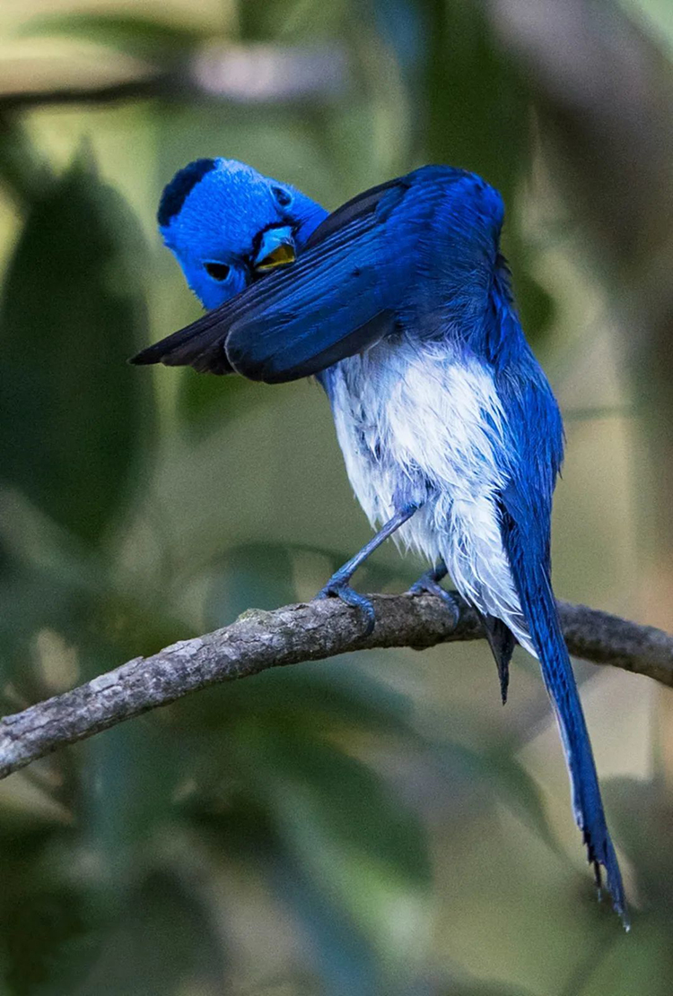 中國國家公園，到底有多寶藏？