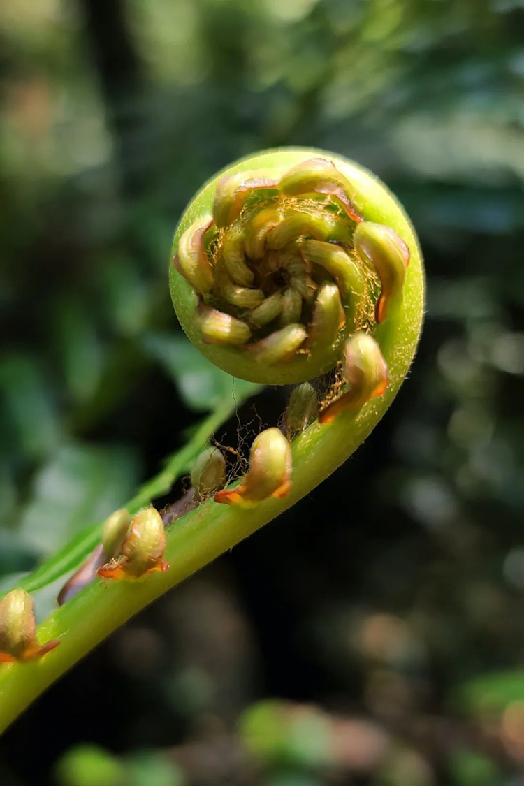 中國國家公園，到底有多寶藏？