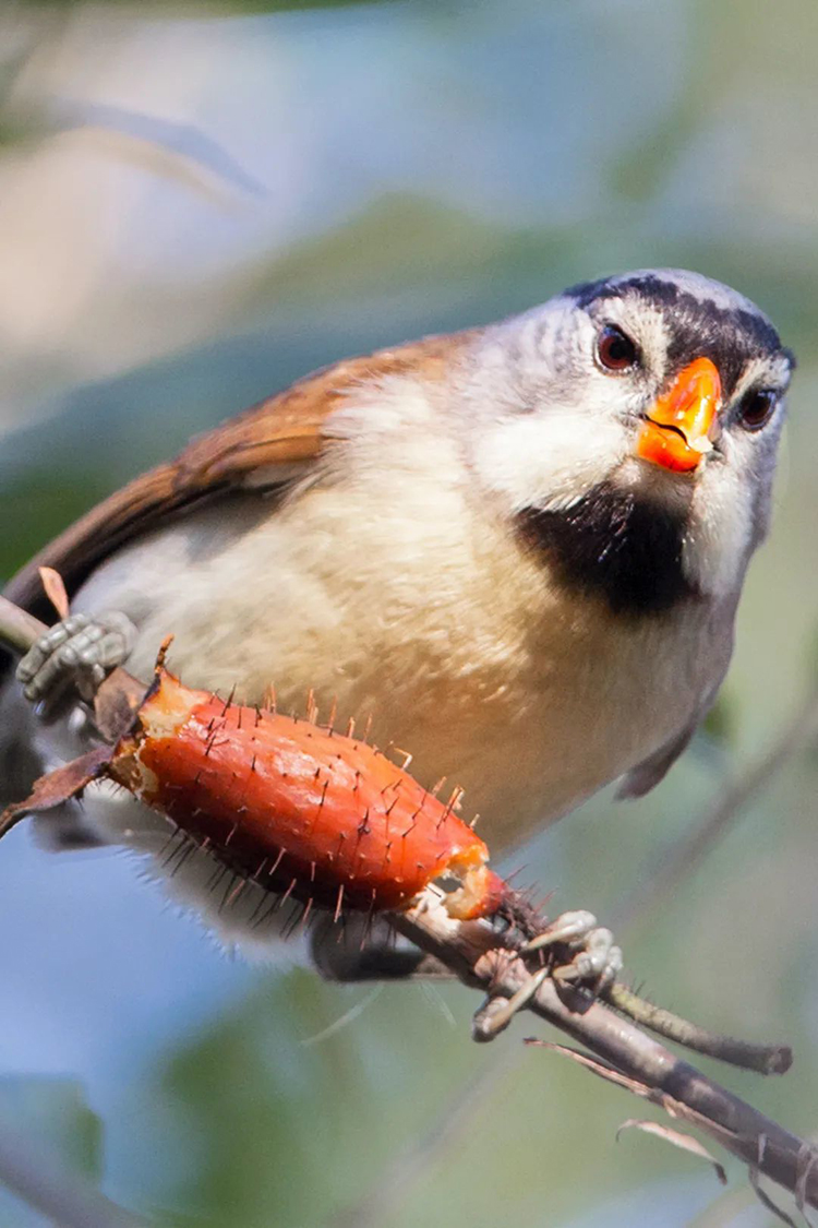 中國國家公園，到底有多寶藏？