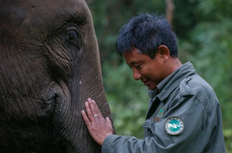 中國國家公園，到底有多寶藏？