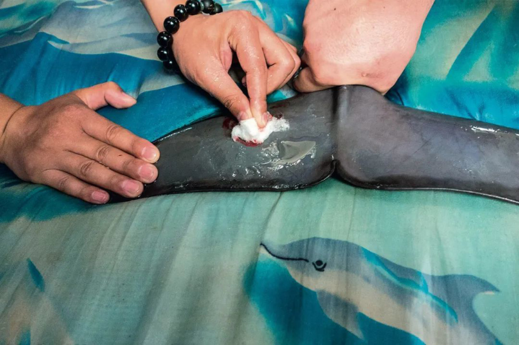 中國國家公園，到底有多寶藏？