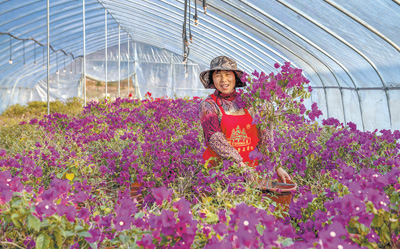 縣鄉消費新亮點：農民腰包鼓 鄉村消費旺