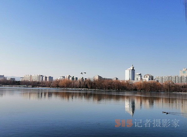 李月手機拍圖——玉淵潭公園冰開春來