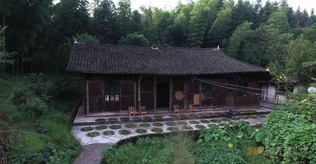 華祥龍茶業創始人——中國茶癡董紹林