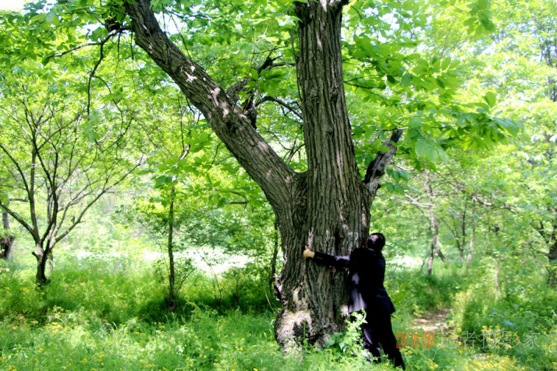 鐘靈毓秀美麗的安徽和縣石楊鎮