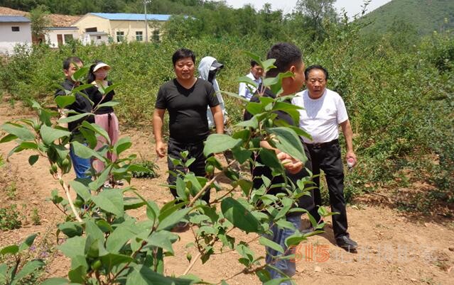 河南瑞龍德圣堂：為做經典飲片鍛造“金名片”