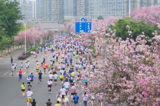 中國各地“賞花經濟”玩出新“花”樣