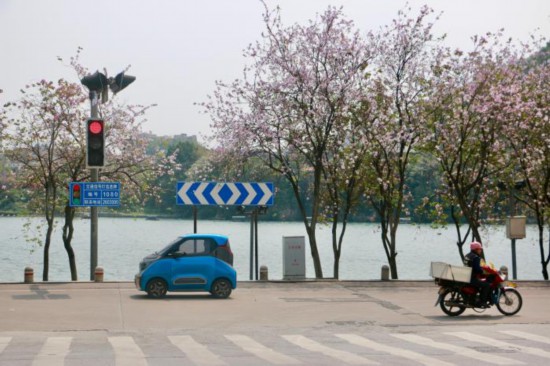 中國各地“賞花經濟”玩出新“花”樣