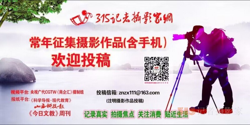 爭議頻繁發生 小說“融?！笔窃賱撟鬟€是抄襲？