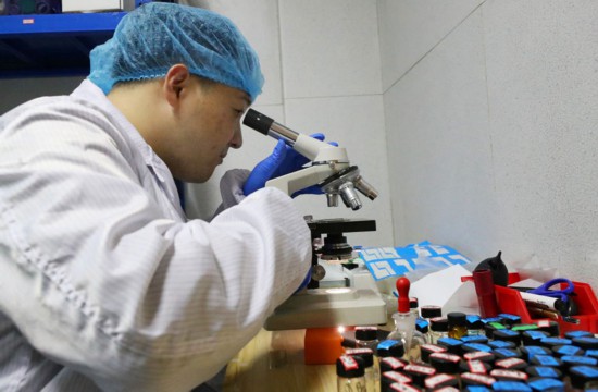 趙苗博士在上海光機所光學實驗室內使用顯微鏡觀察光盤材料切片（2月29日攝）。