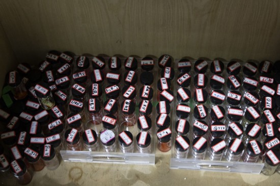 這是在上海光機所光學實驗室內存儲的各種實驗材料（2月29日攝）。過去七年里，研究團隊篩選過的不同材料超過幾百種，趙苗博士篩選的就有100多種。