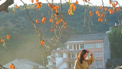 手機(jī)攝影  谷福林  柿柿如意