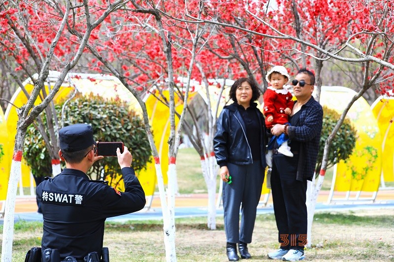 春光里的藏藍守護